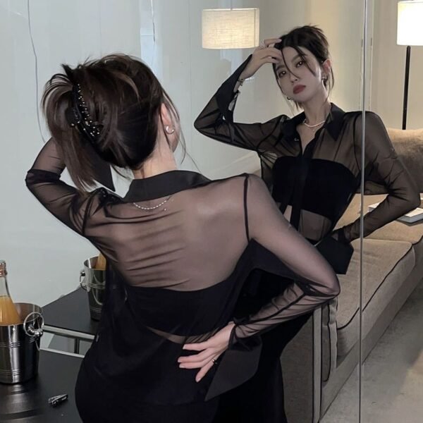 sheer chiffon blouse with collar sheer chiffon blouse with collar