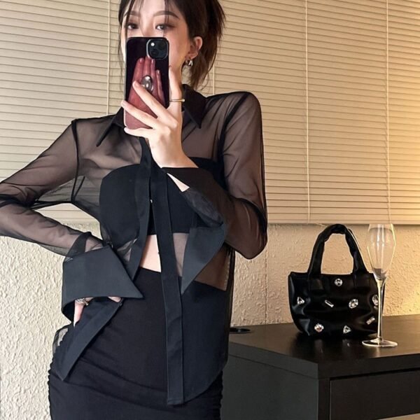 sheer chiffon blouse with collar sheer chiffon blouse with collar